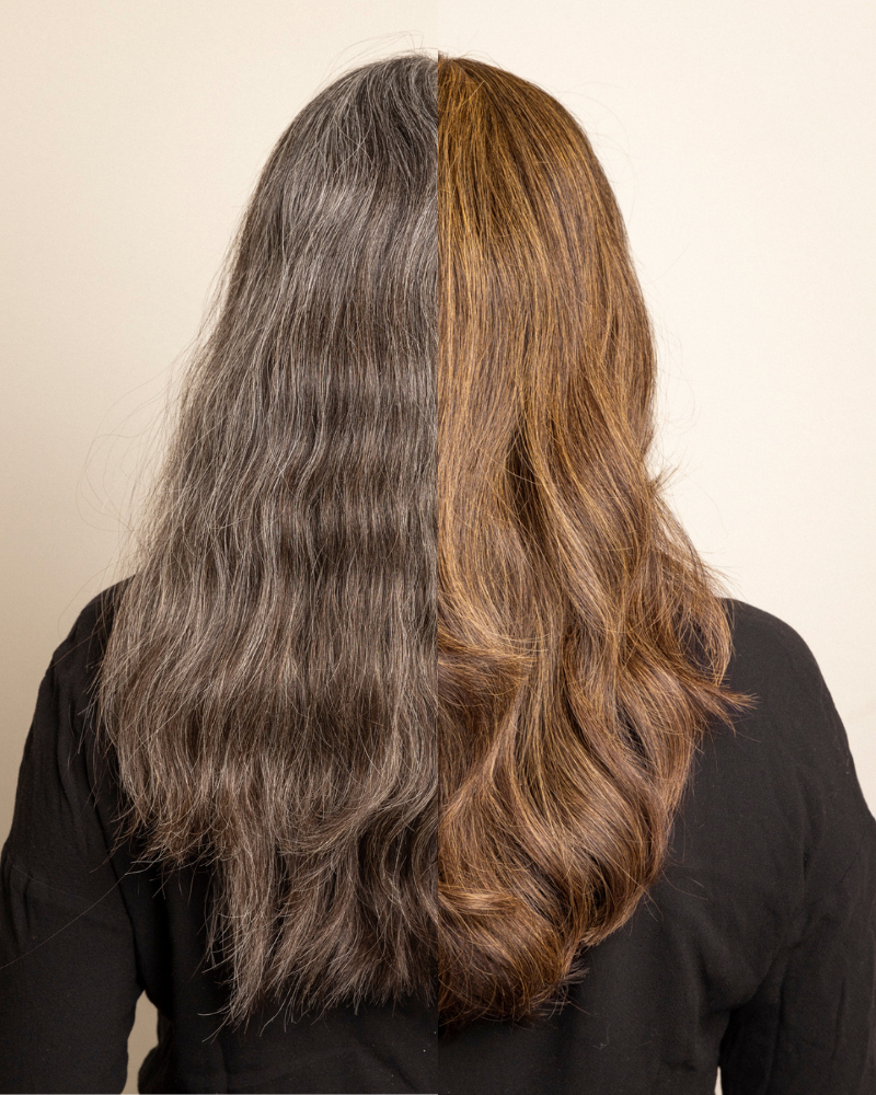 Plants In Colour - Gold brown - Hårfärg