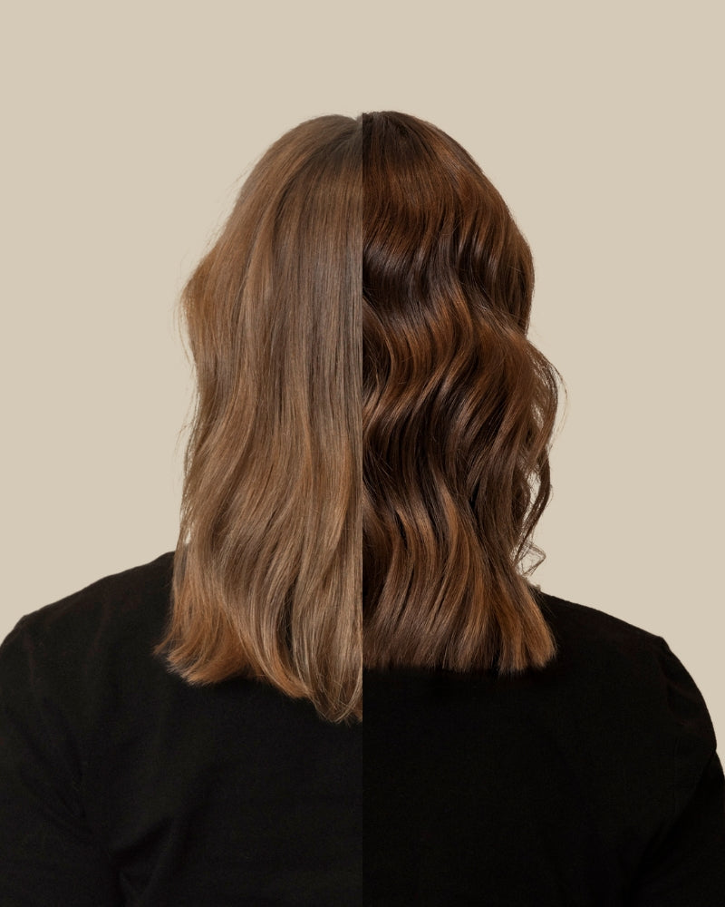 Plants In Gloss - Mocca