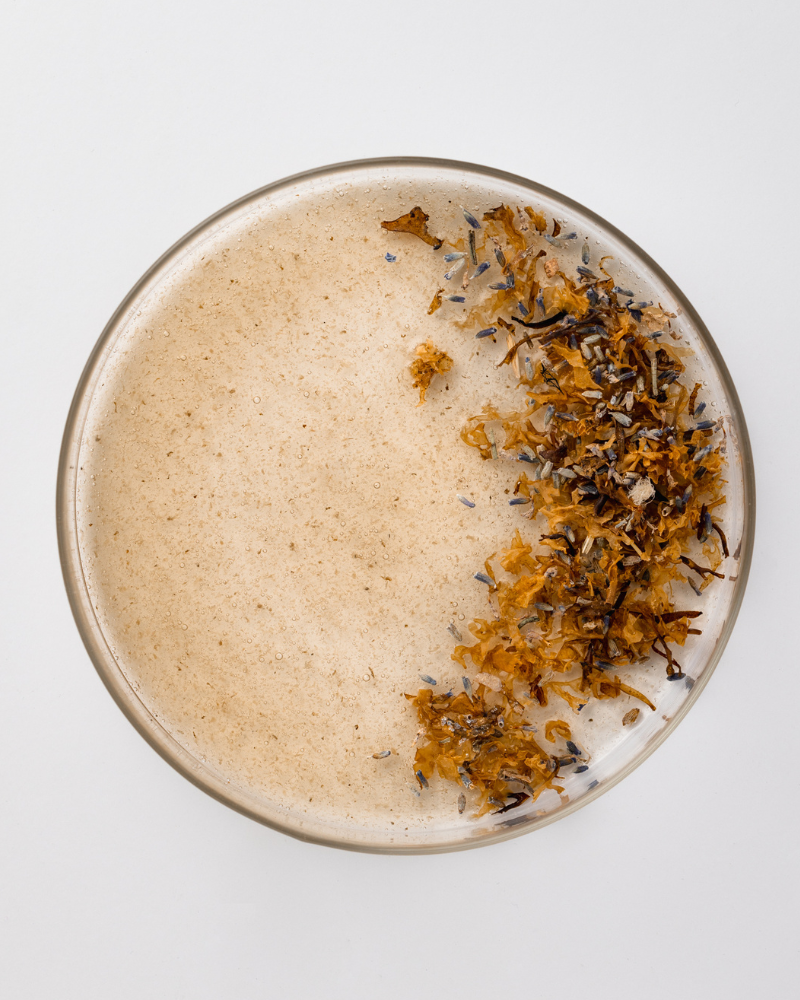 Alg In Treatment - Naturlig hårvårdskur