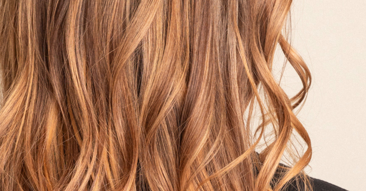 Certifieringsdjungeln