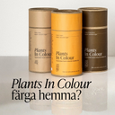 tre stycken plants in colour växtfärg i färgerna beige, copper och Warm Brown.